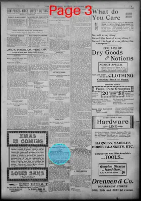 Page thumbnail for The Age Herald