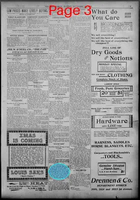 Page thumbnail for The Age Herald