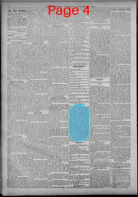Page thumbnail for The Age Herald