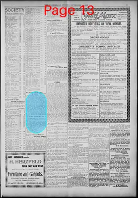 Page thumbnail for The Age Herald