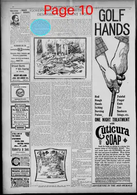 Page thumbnail for The Age Herald