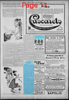 Page thumbnail for The Age Herald