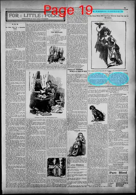 Page thumbnail for The Age Herald