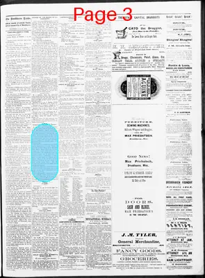 Page thumbnail for The Brookhaven Leader