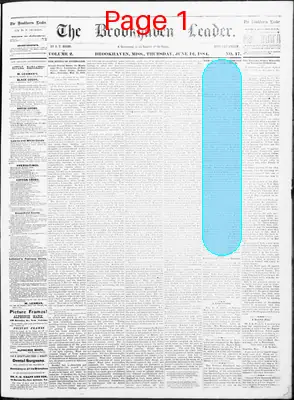 Page thumbnail for The Brookhaven Leader