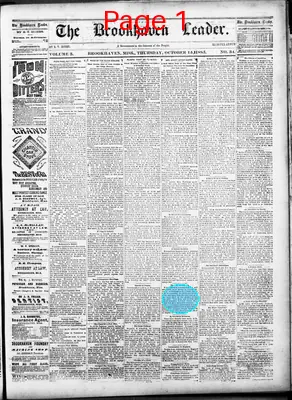 Page thumbnail for The Brookhaven Leader