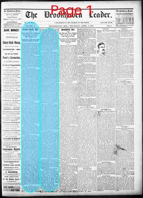 Page thumbnail for The Brookhaven Leader