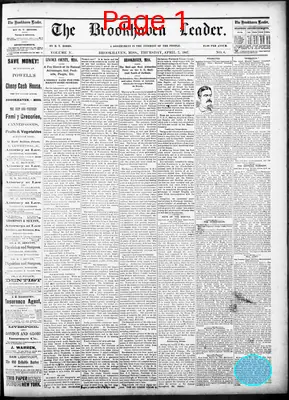 Page thumbnail for The Brookhaven Leader