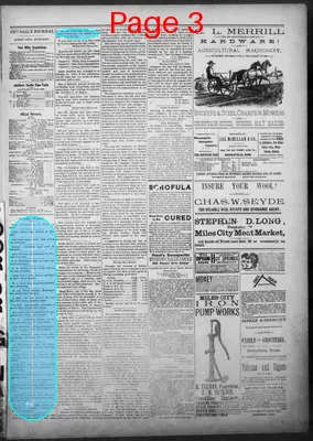 Page thumbnail for Daily Yellowstone Journal