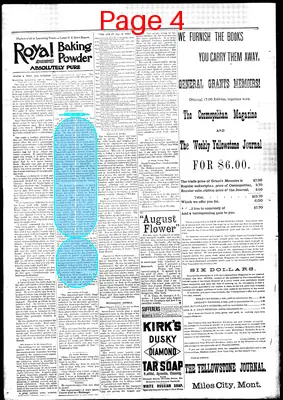 Page thumbnail for Daily Yellowstone Journal