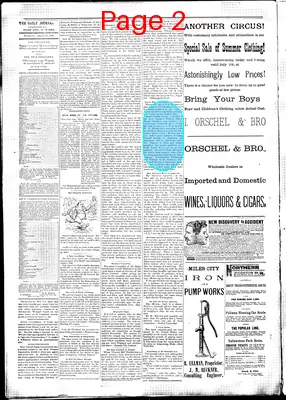 Page thumbnail for Daily Yellowstone Journal