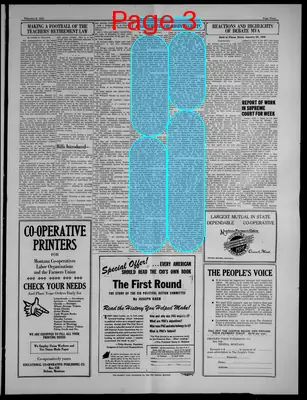 Page thumbnail for The People's Voice