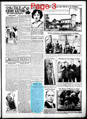Page thumbnail for The Harlem News
