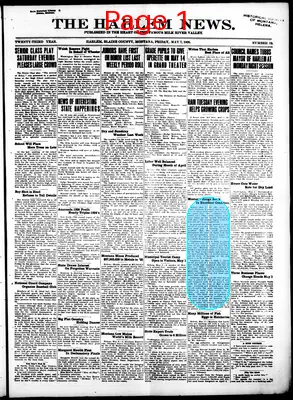 Page thumbnail for The Harlem News