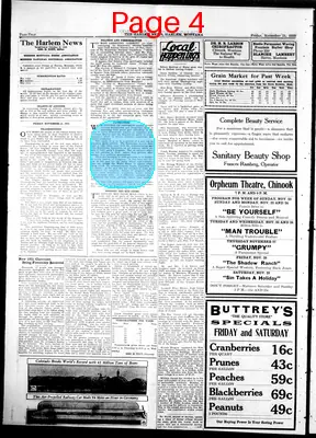 Page thumbnail for The Harlem News