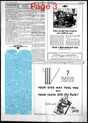 Page thumbnail for The Harlem News