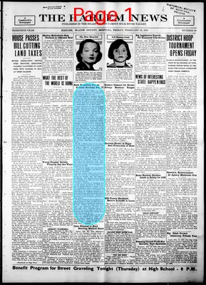 Page thumbnail for The Harlem News