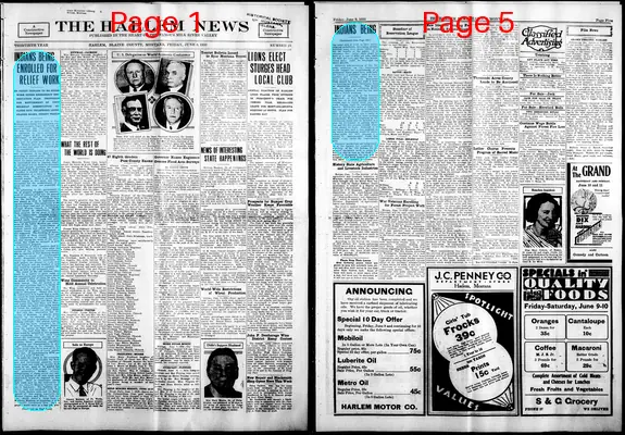 Page thumbnail for The Harlem News