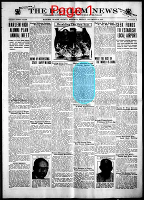 Page thumbnail for The Harlem News