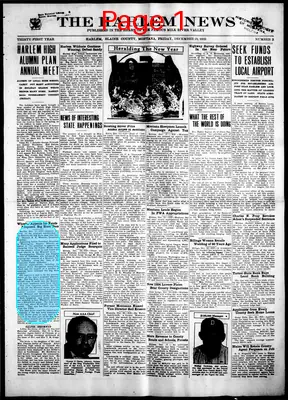 Page thumbnail for The Harlem News