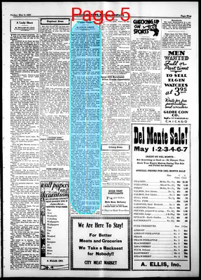 Page thumbnail for The Harlem News