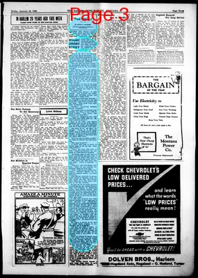 Page thumbnail for The Harlem News