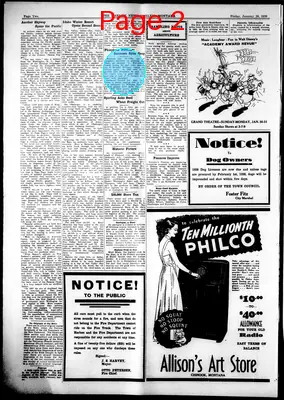 Page thumbnail for The Harlem News