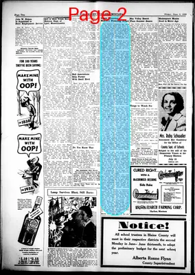 Page thumbnail for The Harlem News
