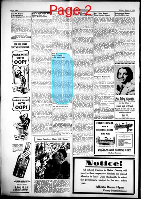 Page thumbnail for The Harlem News