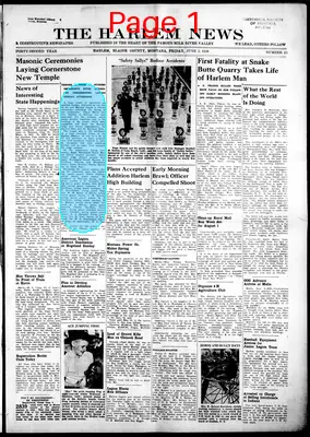 Page thumbnail for The Harlem News