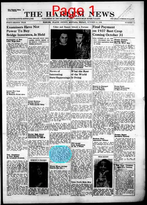 Page thumbnail for The Harlem News