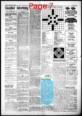 Page thumbnail for The Harlem News
