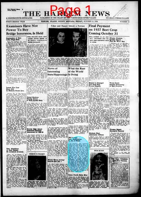 Page thumbnail for The Harlem News