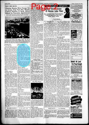 Page thumbnail for The Harlem News