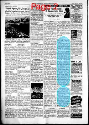 Page thumbnail for The Harlem News