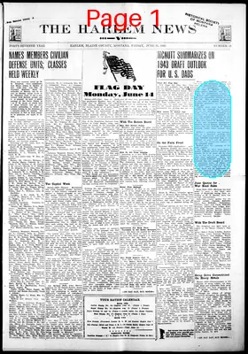 Page thumbnail for The Harlem News