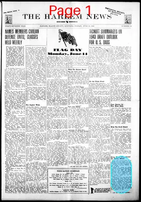 Page thumbnail for The Harlem News