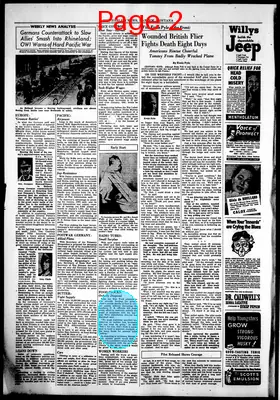 Page thumbnail for The Harlem News