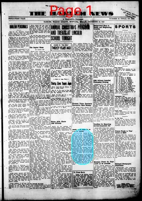 Page thumbnail for The Harlem News