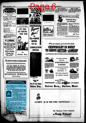 Page thumbnail for The Harlem News