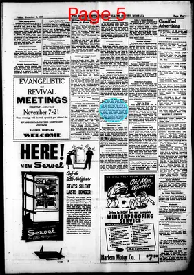 Page thumbnail for The Harlem News