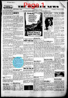 Page thumbnail for The Harlem News
