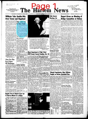 Page thumbnail for The Harlem News