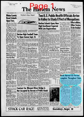 Page thumbnail for The Harlem News
