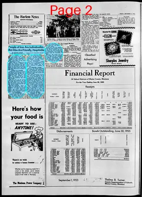 Page thumbnail for The Harlem News