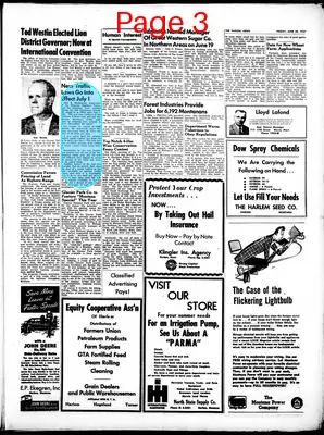 Page thumbnail for The Harlem News