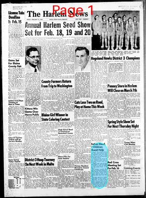 Page thumbnail for The Harlem News