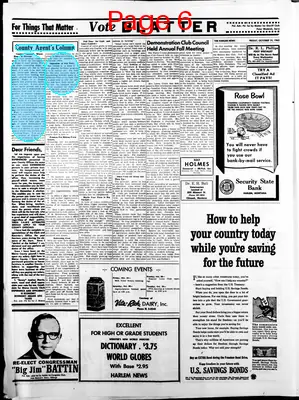 Page thumbnail for The Harlem News