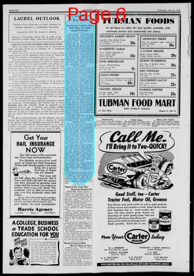 Page thumbnail for Laurel Outlook