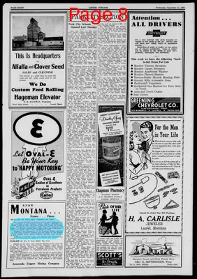 Page thumbnail for Laurel Outlook